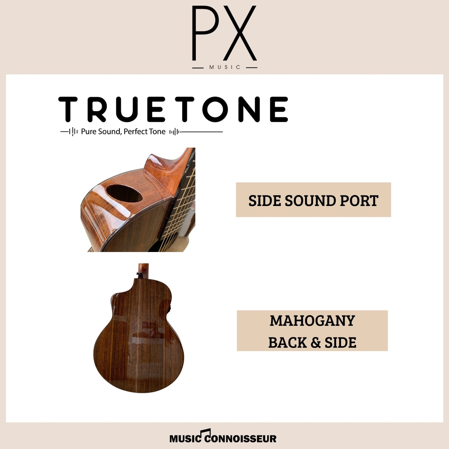 PX Virtuoso 40" Acoustic Guitar w/ Pickup (Walnut)