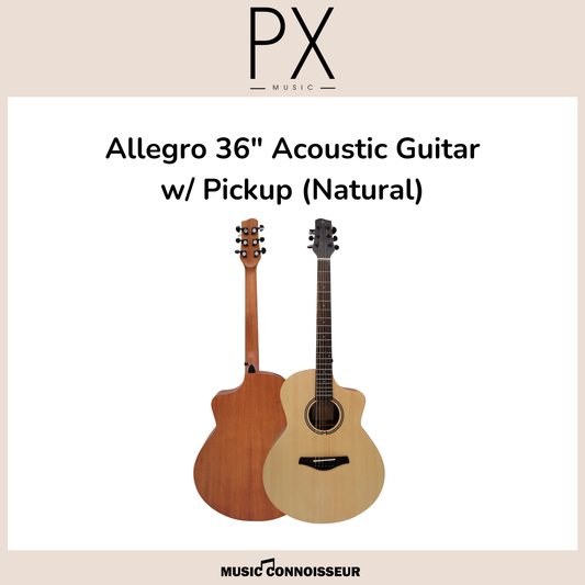 PX Allegro 36" Acoustic Guitar w/ Pickup (Natural)