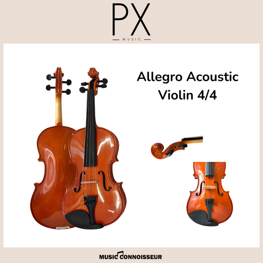 PX Allegro 4/4 Acoustic Violin