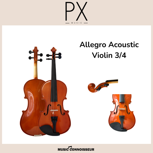 PX Allegro 3/4 Acoustic Violin