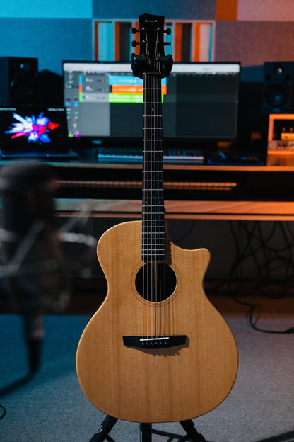 ENYA EGA-X1 PRO EQ Acoustic Guitar
