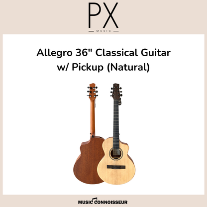 PX Allegro 36" Classical Guitar w/ Pickup (Natural)